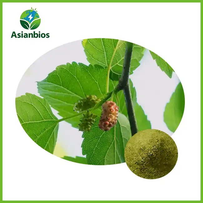 Mulberry Leaf Powder Mulberry Leaf Powder